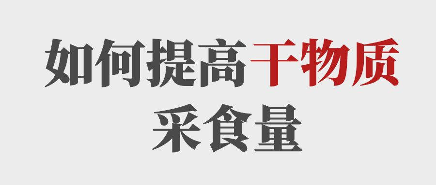 做到這5點(diǎn)提高育肥牛的干物質(zhì)采食量！